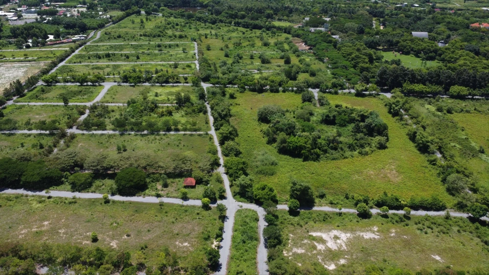 bắt tổng giám đốc.jpg