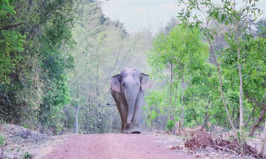 khu bảo tồn. 1.jpg