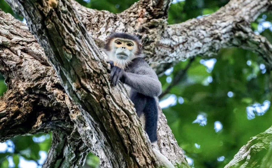 Khu bảo tồn 13.jpg