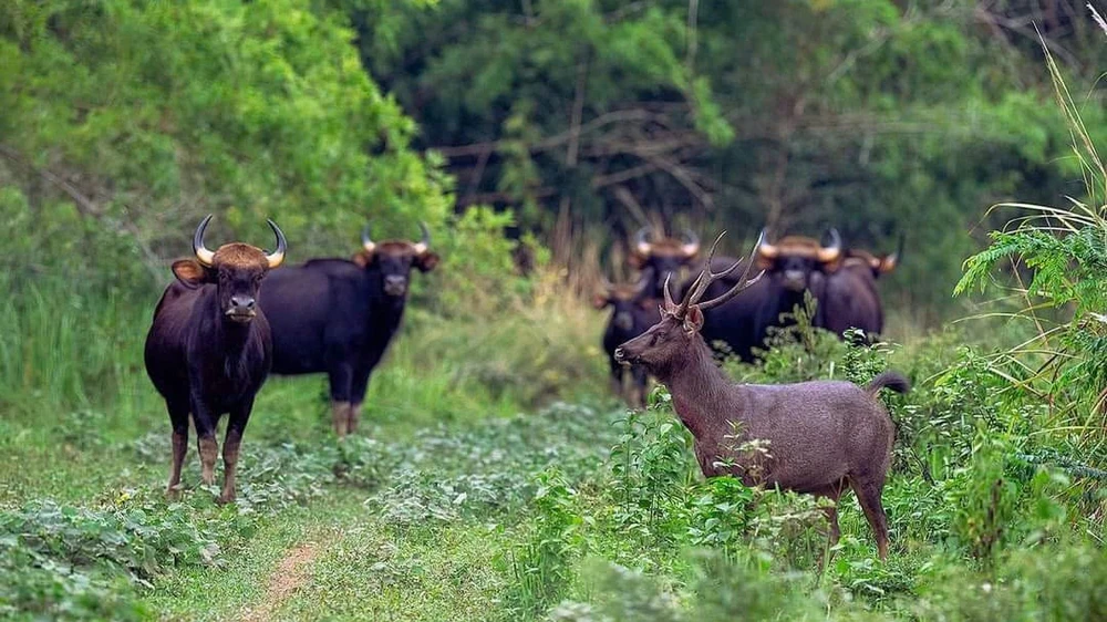 khu bảo tồn 20.jpeg