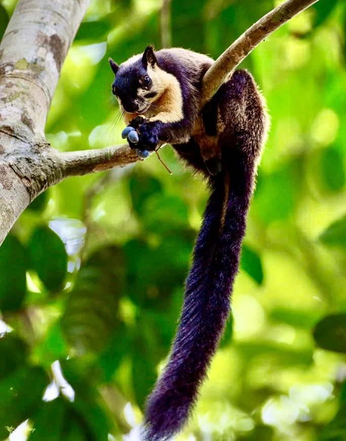 khu bảo tồn 6.jpg