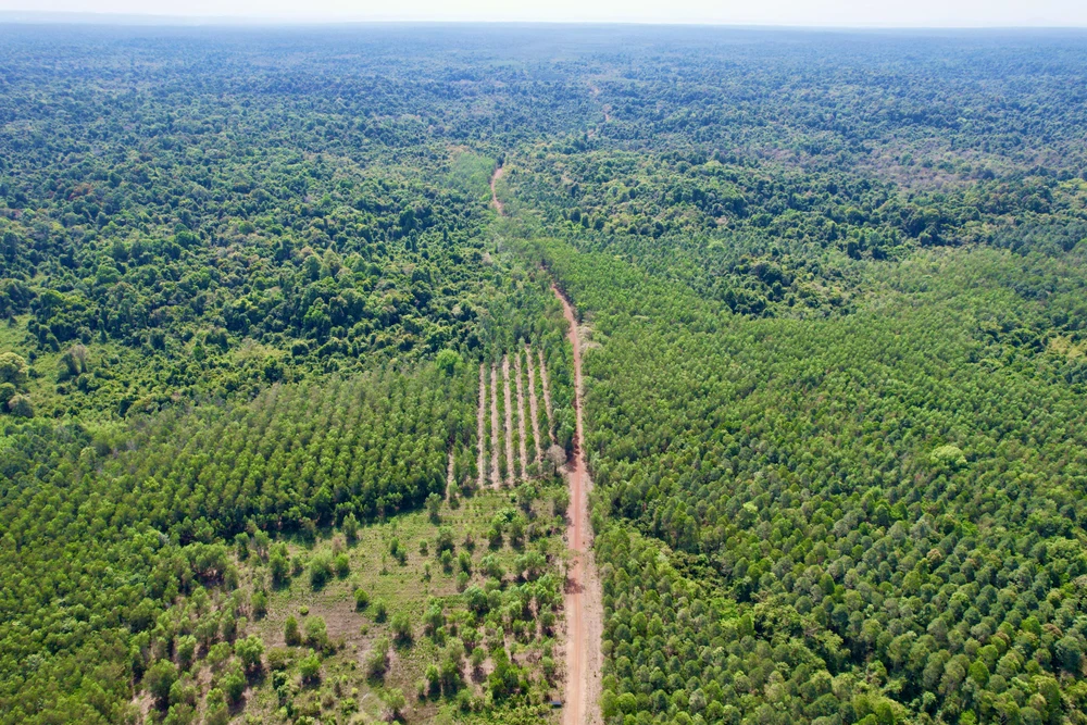 cầu Mã Đà 1.jpg