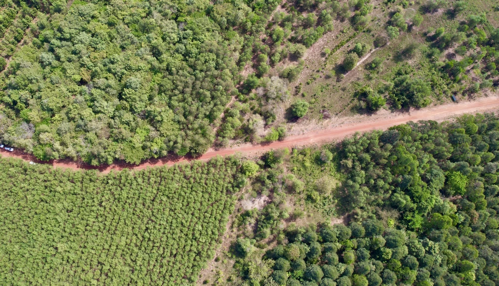 đồng nai và bình phước.jpg