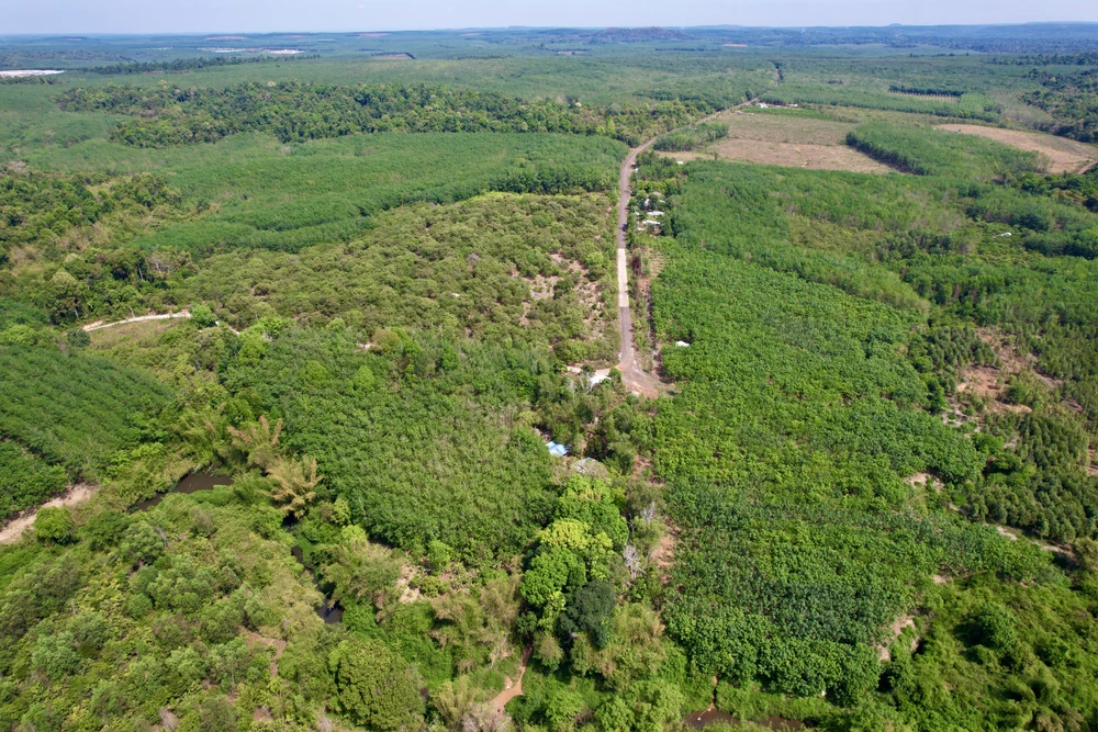 đồng nai và bình phước 6.jpg