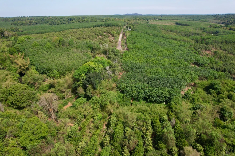 sáp nhập tỉnh.jpg