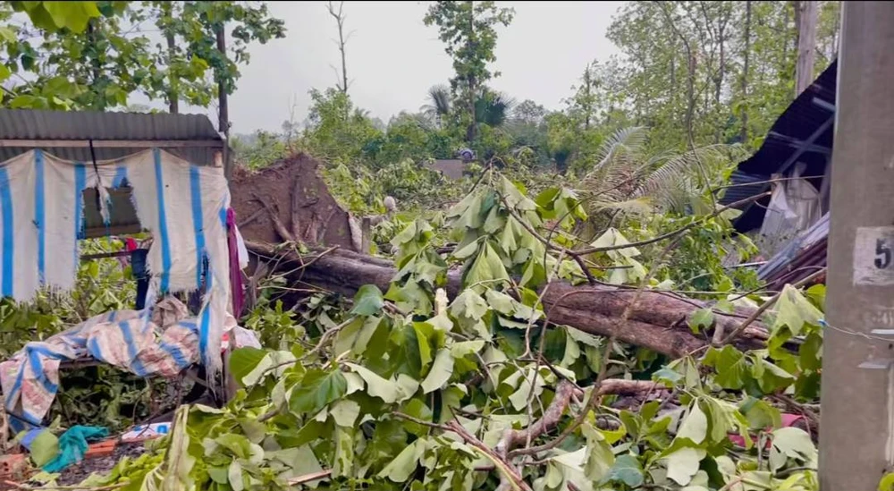 Mưa lớn kèm lốc xoáy khiến nhiều cây đổ. Ảnh: VTR.