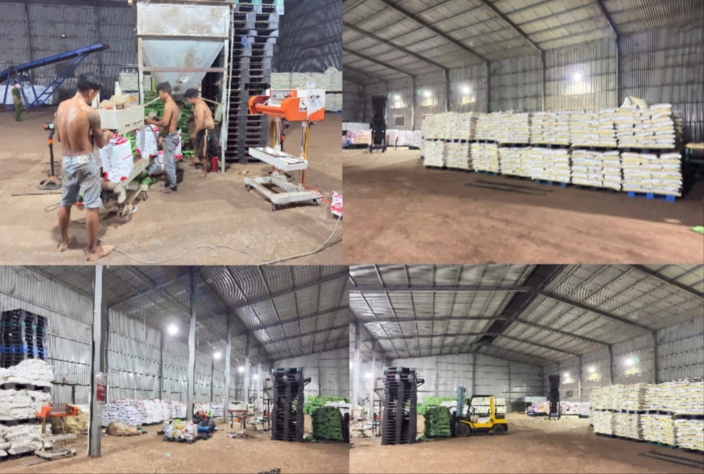 Phân bón giả.jpg