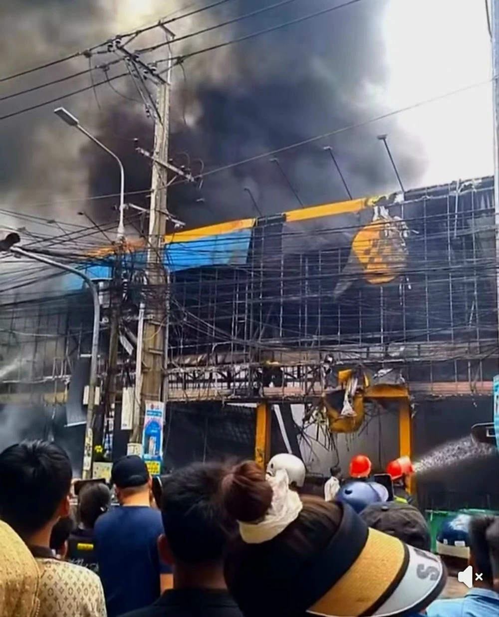 Siêu thị điện máy xanh.jpg