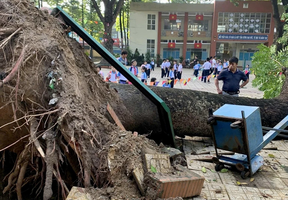 Mưa giông lốc 1.jpg