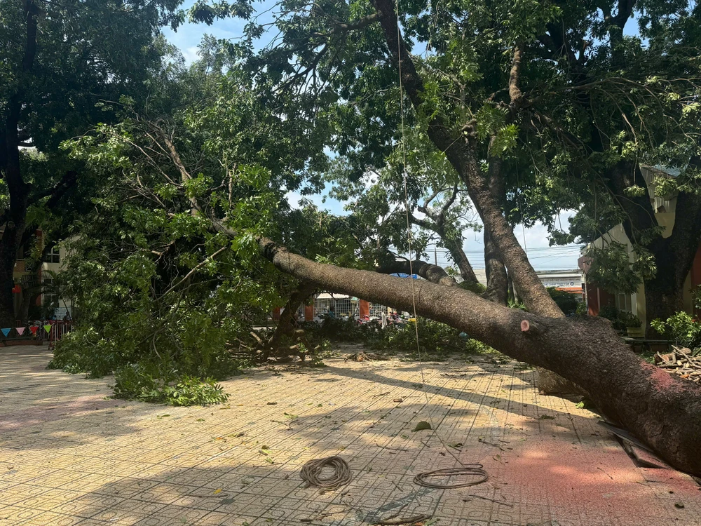 Mưa giông lốc.jpg