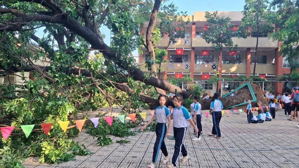 mưa giông lốc 4.jpg