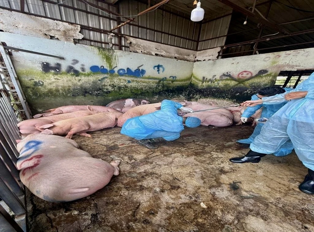 dương tính với chất cấm .jpg