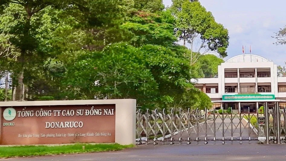 cao su Đồng Nai.jpg