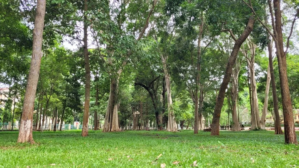 TP Buôn Ma Thuột từng được công nhận là một trong 10 đô thị xanh, sạch, đẹp của nước ta