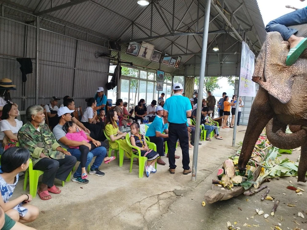 Người dân xem voi dự tiệc. Ảnh: VLX