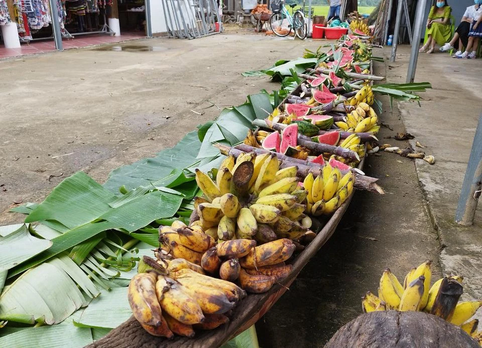 Hoa quả dùng cho voi ăn. Ảnh: VLX