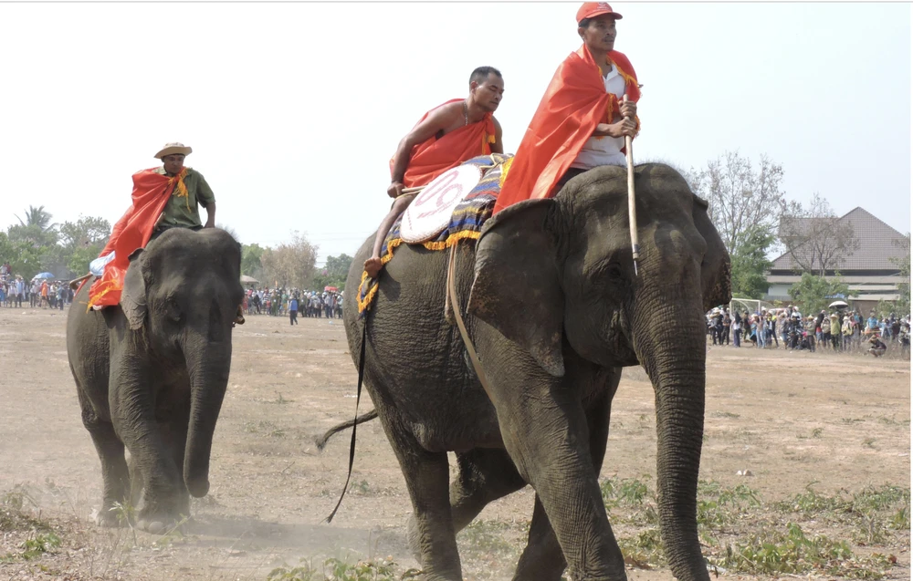 Lễ hội đua voi ở huyện Buôn Đôn. Ảnh: VL