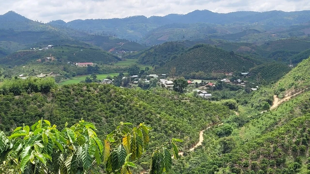 Cụm dân cư số 8, xã Đắk R'măng nhìn từ trên cao. Ảnh: VL