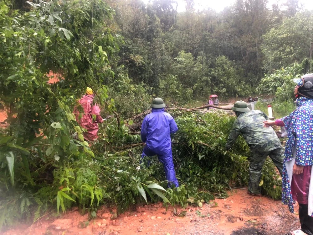 Người dân và chính quyền địa phương dọn cây ngã đổ ven đường. Ảnh: LX