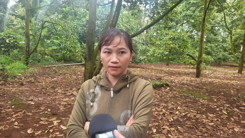 Bà Hồ Thị Nga bức xúc vì mã vùng trồng sầu riêng của dân lại để doanh nghiệp quản lý, sử dụng. Ảnh: VL