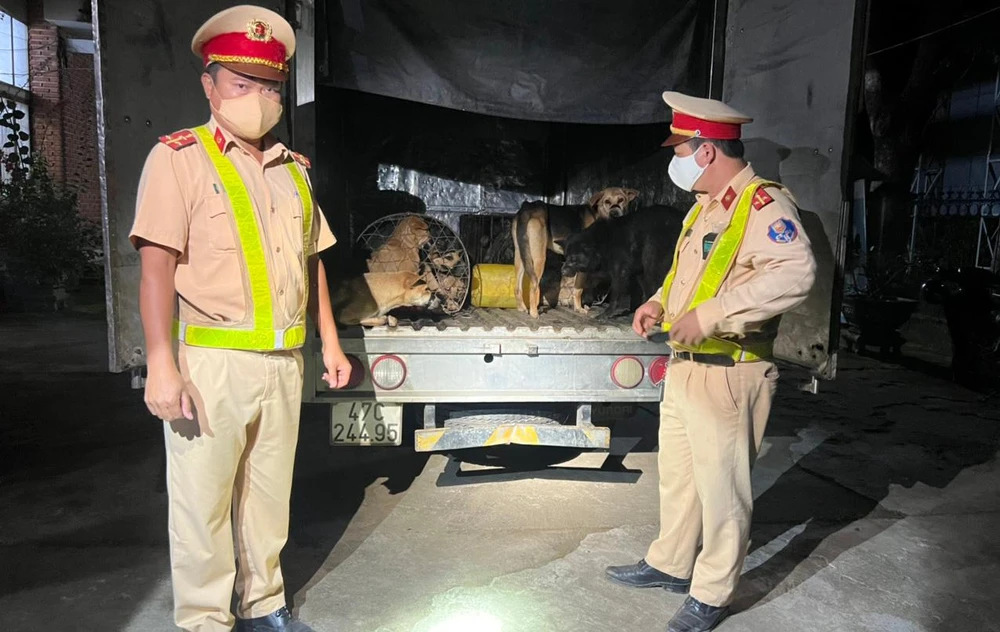 Lực lượng CSGT Công an tỉnh Đắk Lắk bắt nhóm người trộm chó. Ảnh: AX