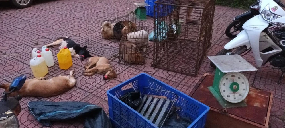 Tang vật vụ việc. Ảnh: MQ