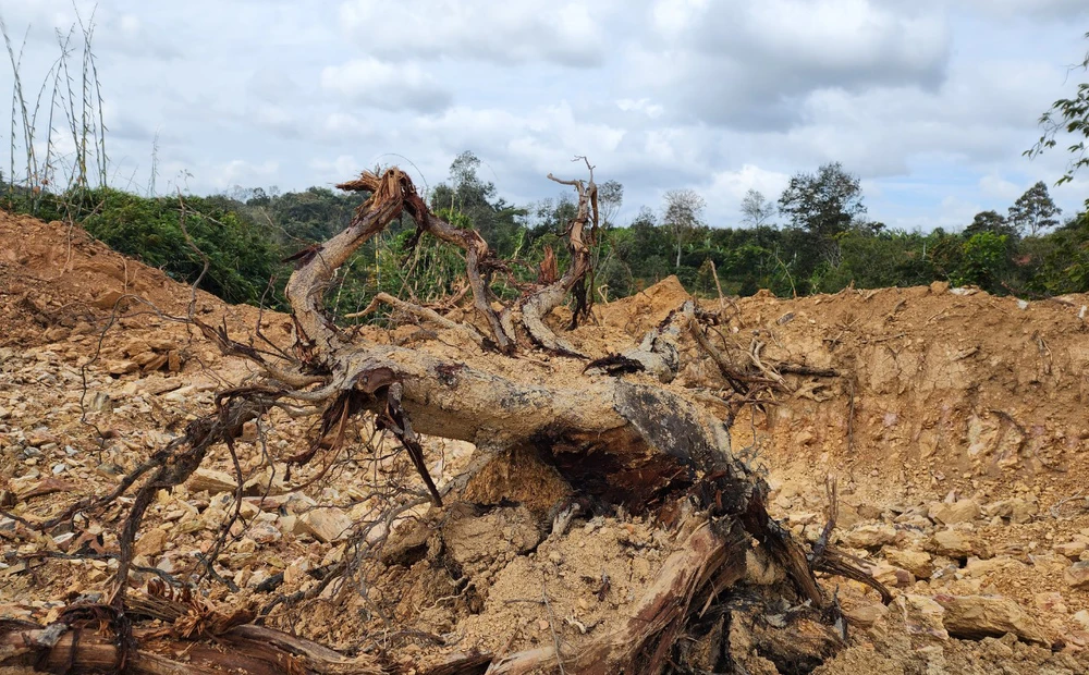 Khu vực đất bị Công ty CP Đầu tư và Xây dựng 515 múc đất trái phép. Ảnh: HN Khu vực đất bị Công ty CP Đầu tư và Xây dựng 515 múc đất trái phép. Ảnh: HN