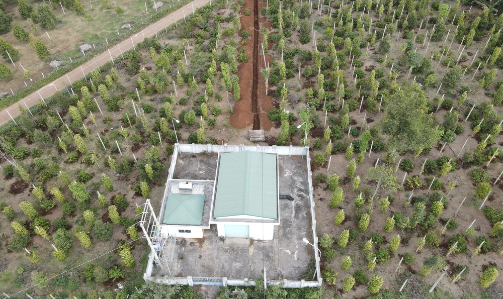 Chủ đầu đang đào tuyến đường ống để thử áp. Ảnh: NH Chủ đầu đang đào tuyến đường ống để thử áp. Ảnh: NH