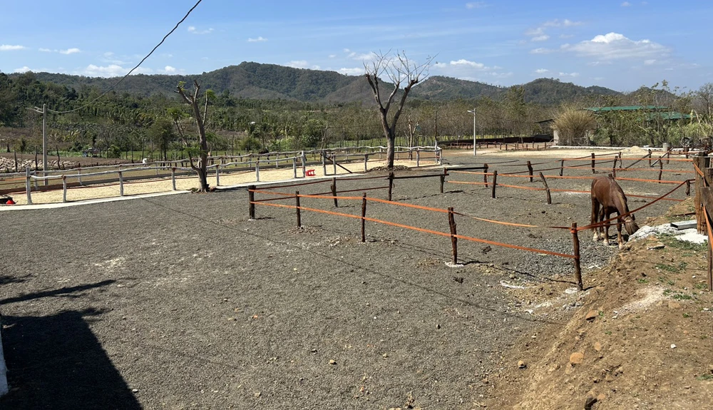 Hàng mục dùng để nuôi ngựa. Ảnh: VŨ LONG