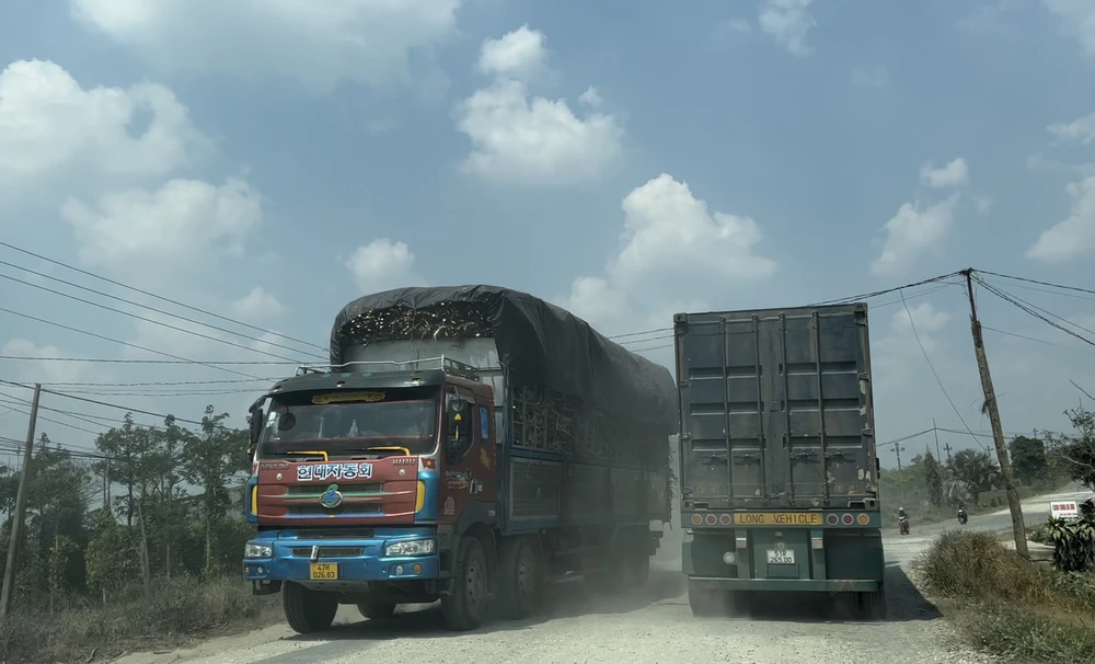 Mỗi ngày có nhiều xe tải trọng lớn đi trên tuyến đường huyện 0.75a. Ảnh: LX