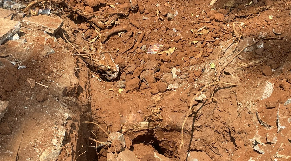 Việc đào sát gốc và nhiều rễ cây bị cưa làm ảnh hưởng đến nguy cơ gãy đổ cây. Ảnh" AX