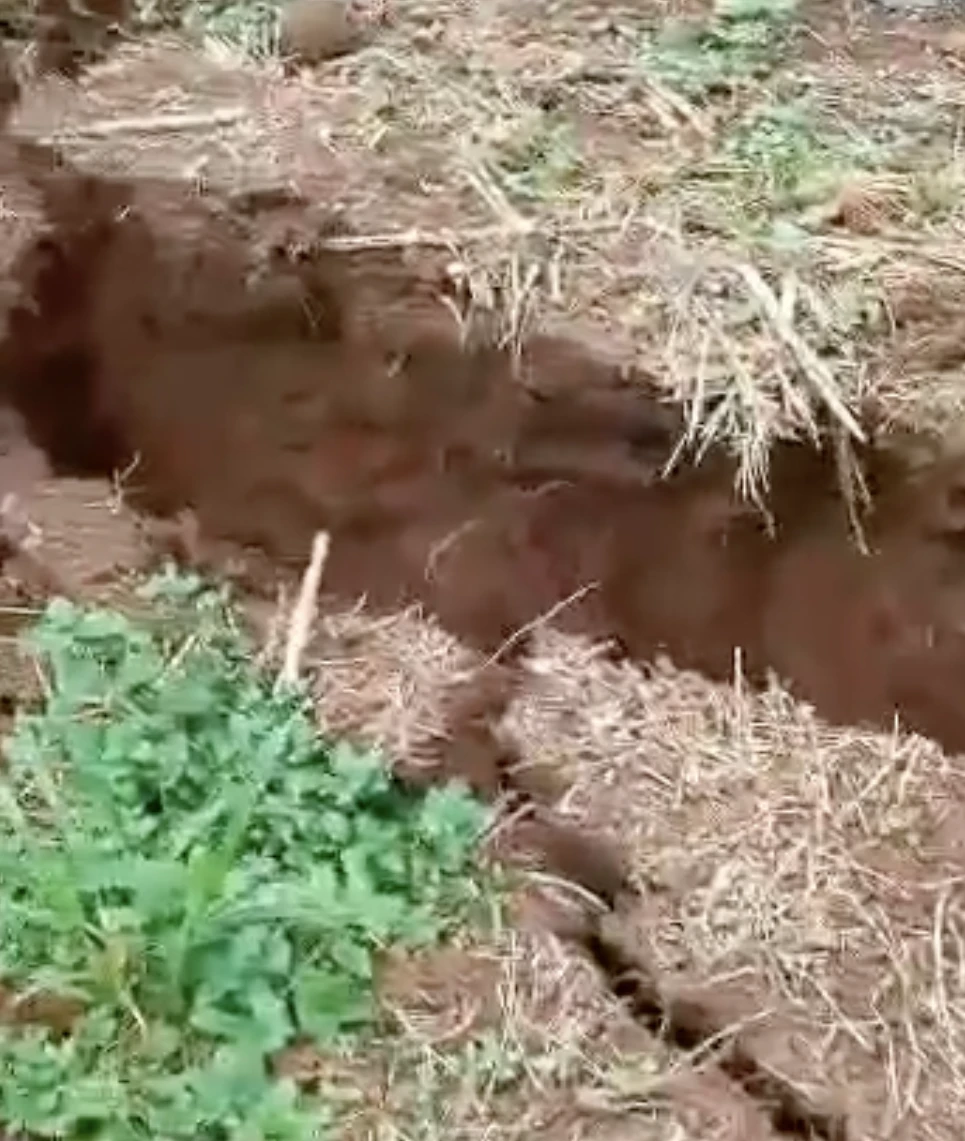 Vết nứt lớn trong rẫy của người dân ở huyện Đắk Song. Ảnh cắt từ clip Vết nứt lớn trong rẫy của người dân ở huyện Đắk Song. Ảnh cắt từ clip