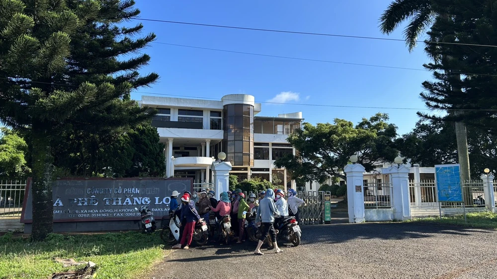 Trụ sở Công ty Cổ phần cà phê Thắng Lợi. Ảnh: VŨ LONG