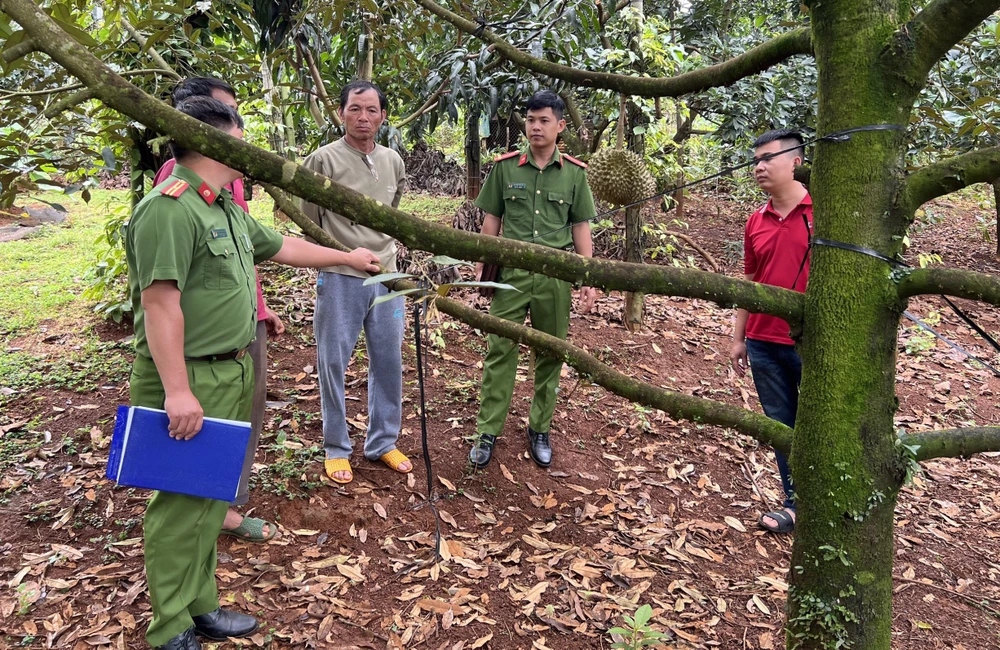 Công an TP Gia Nghĩa tuyên truyền công tác phòng chống trộm cắp trong giai đoạn thu hoạch sầu riêng. Ảnh: MQ
