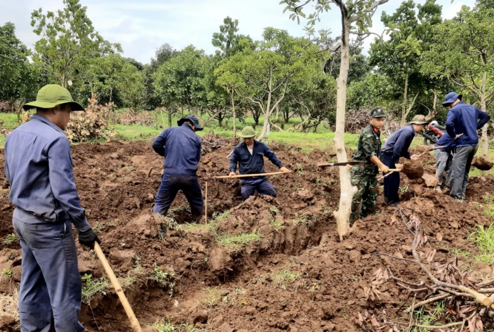 Lực lượng chức năng đào xới tìm kiếm mộ liệt sĩ. Ảnh: QA