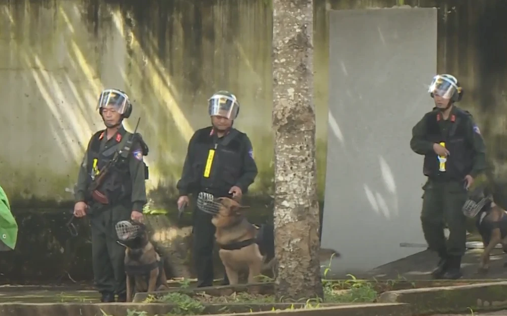 huấn luyện chó nghiệp vụ