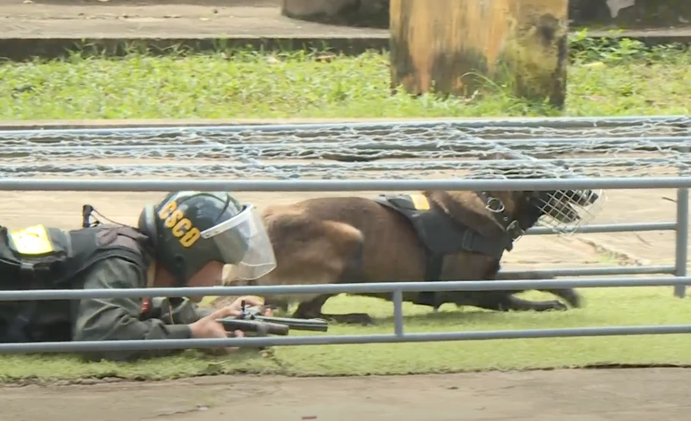 huấn luyện chó nghiệp vụ