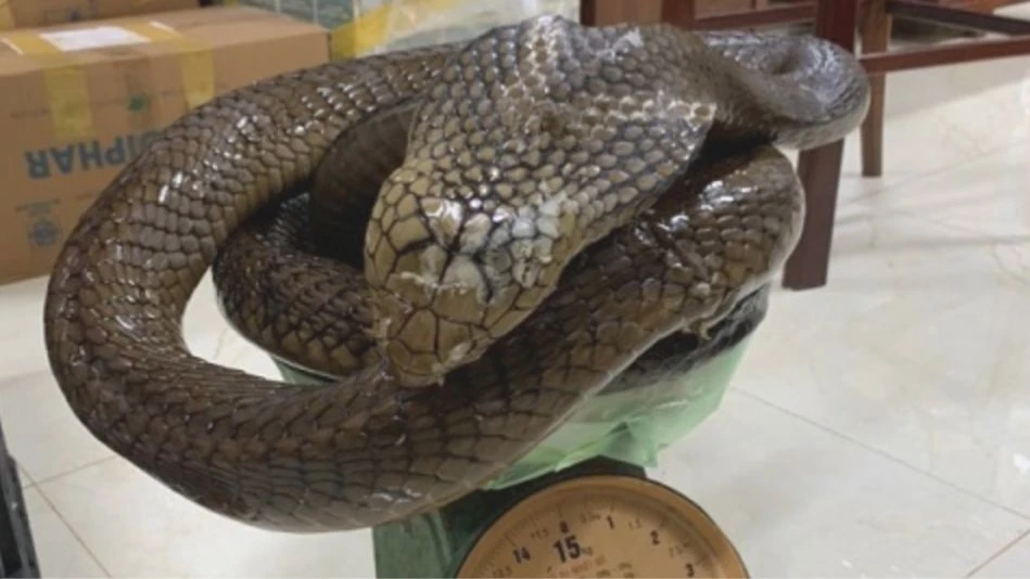 Ảnh chụp Màn hình 2023-10-21 lúc 16.09.30.png