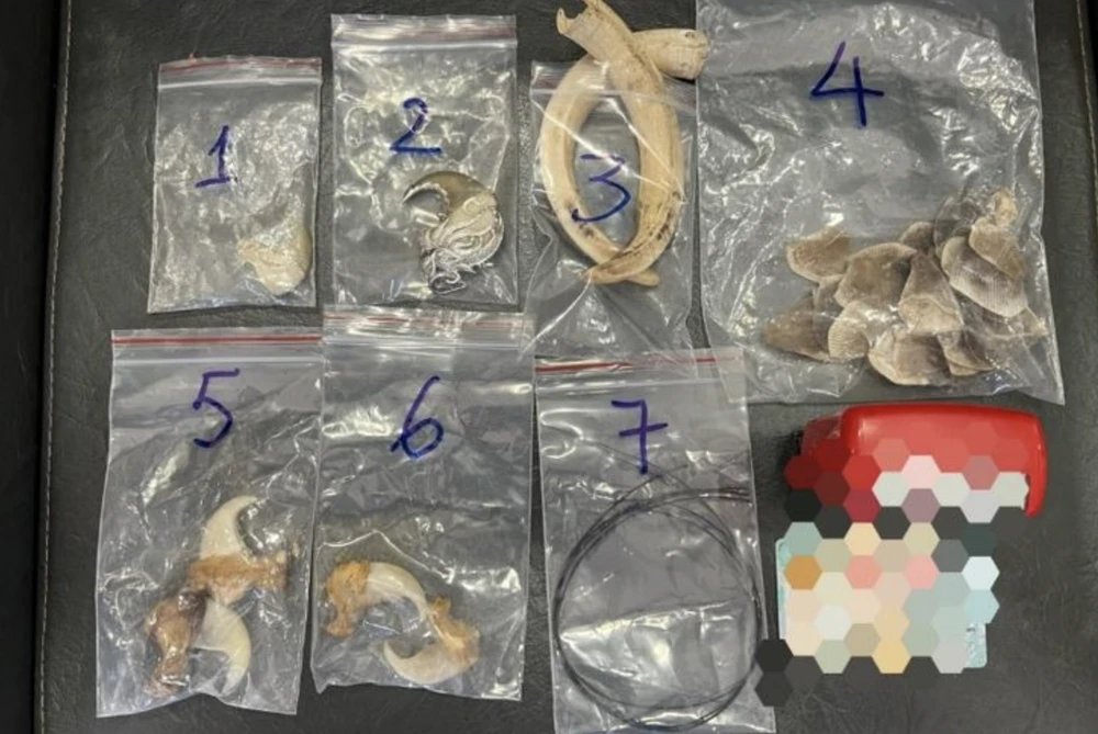 Bị bắt vì buôn bán vuốt hổ, móng báo hoa mai…