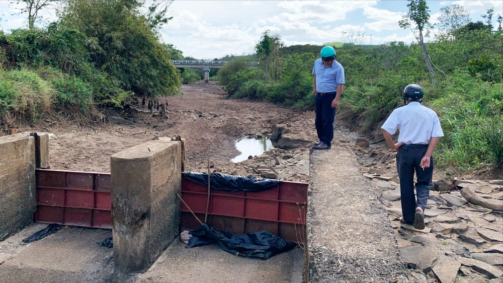 Tây Nguyên kiến nghị thủy điện xả nước chống hạn