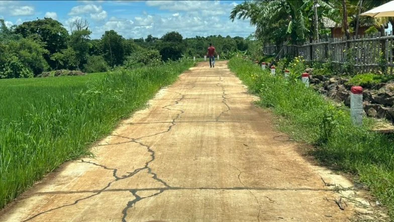 dự án đường nội đồng.jpg