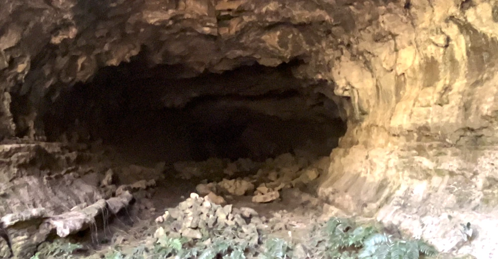 người tiền sử.png