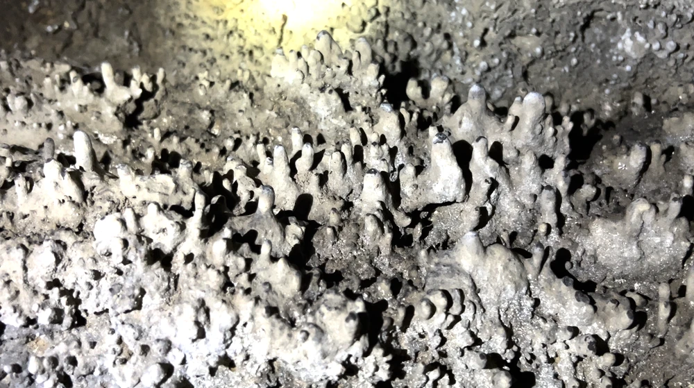 người tiền sử.png