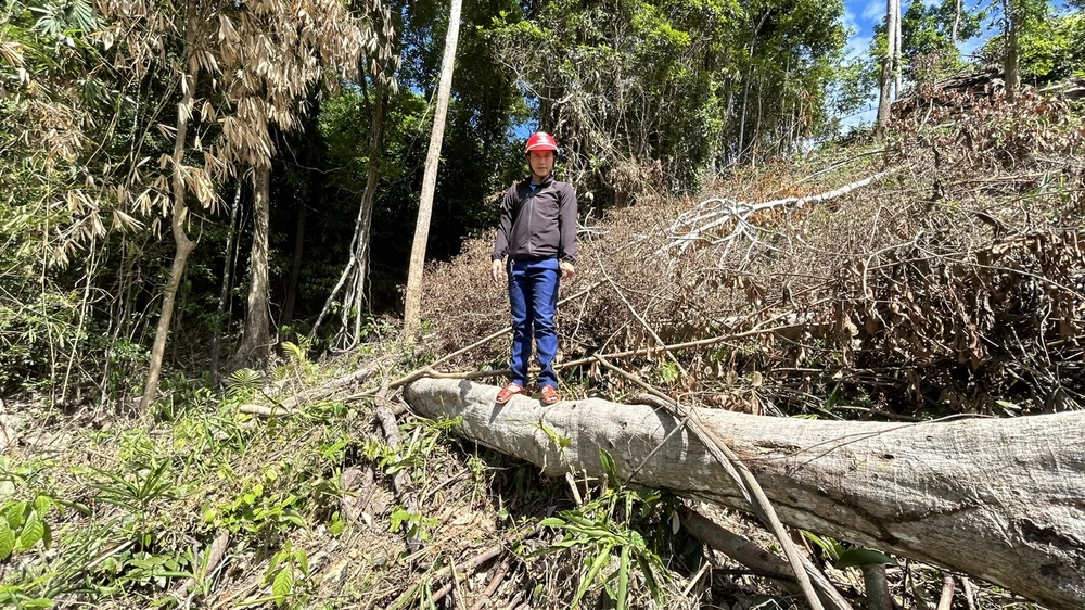 bị lấn chiếm.jpg