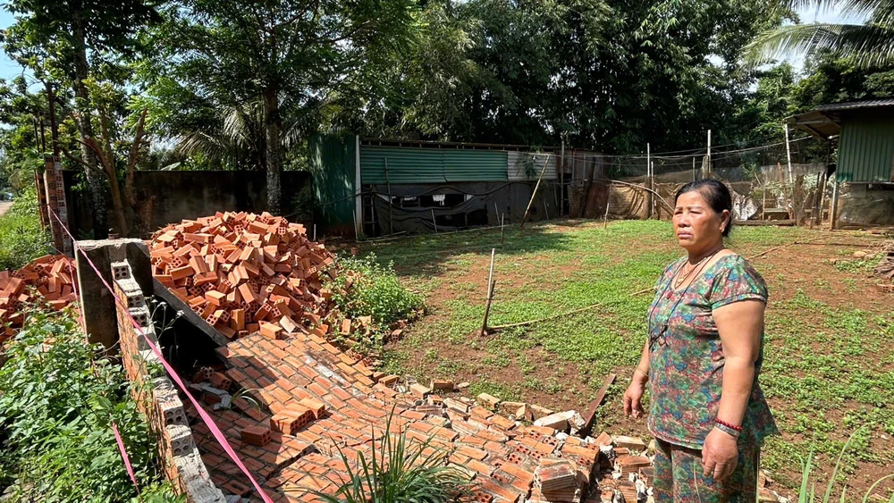 Kết quả xác minh.jpg