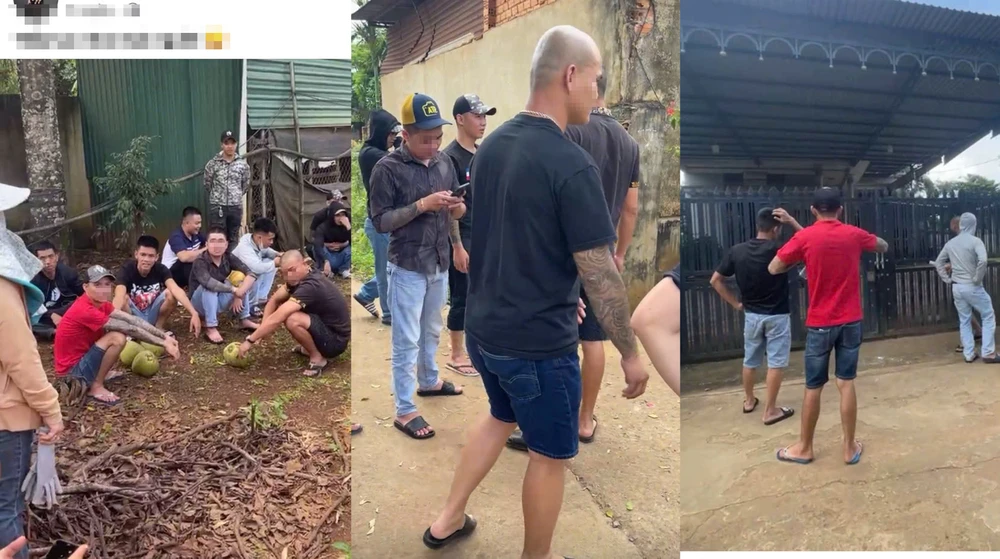 kết quả xác minh.jpg