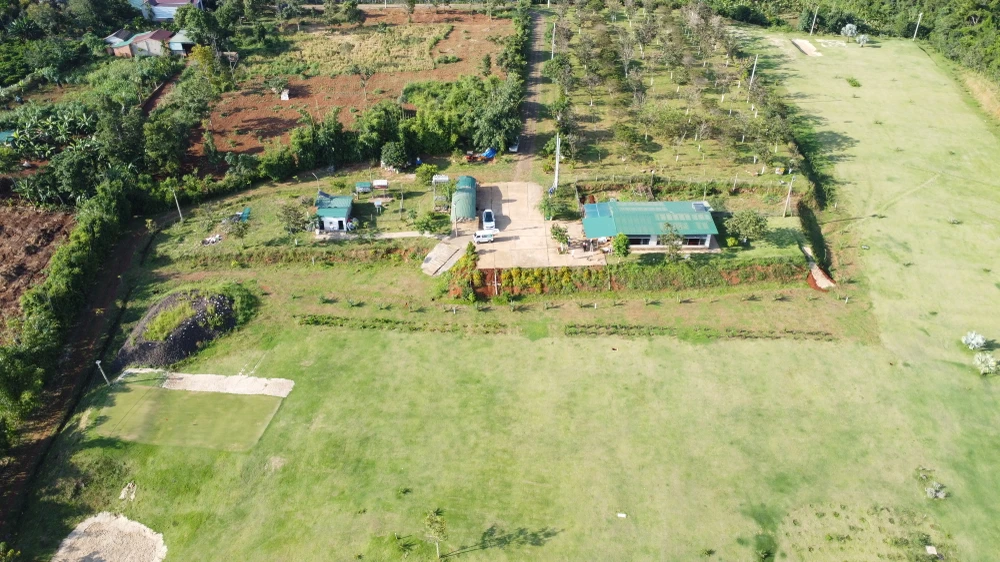 giám đốc ngân hàng.JPG