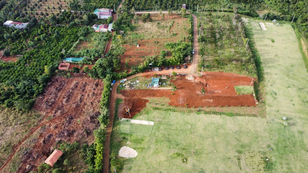 giám đốc ngân hàng.JPG