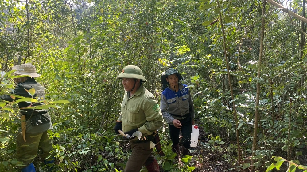 Vườn Quốc gia Tà Đùng.jpg