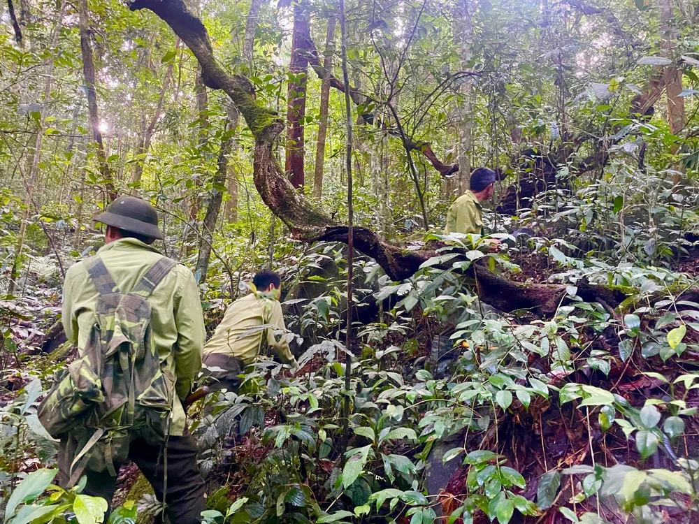 Vườn Quốc gia Tà Đùng.jpg